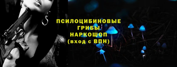 амф Богородицк