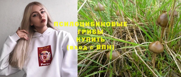 амф Богородицк
