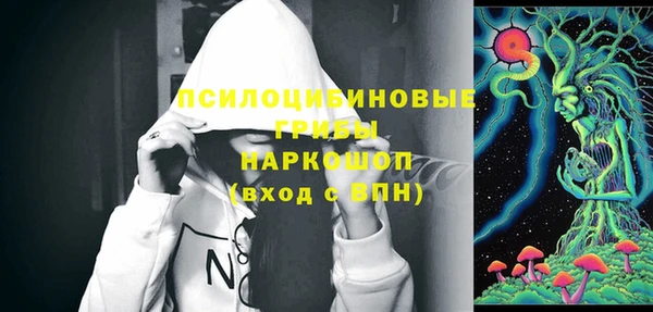 амф Богородицк